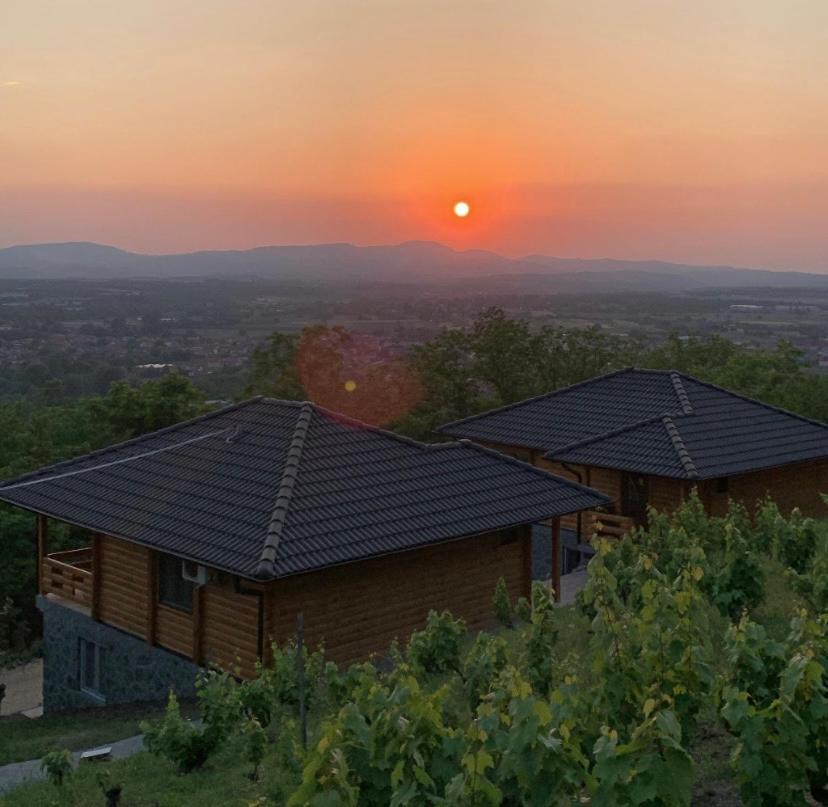 Boja Zalaska - Kameni Apartman Ягодина Экстерьер фото