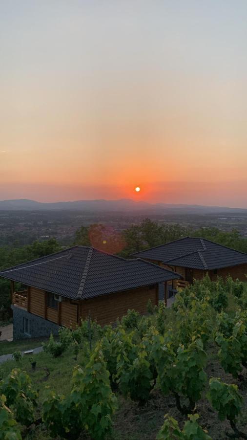 Boja Zalaska - Kameni Apartman Ягодина Экстерьер фото